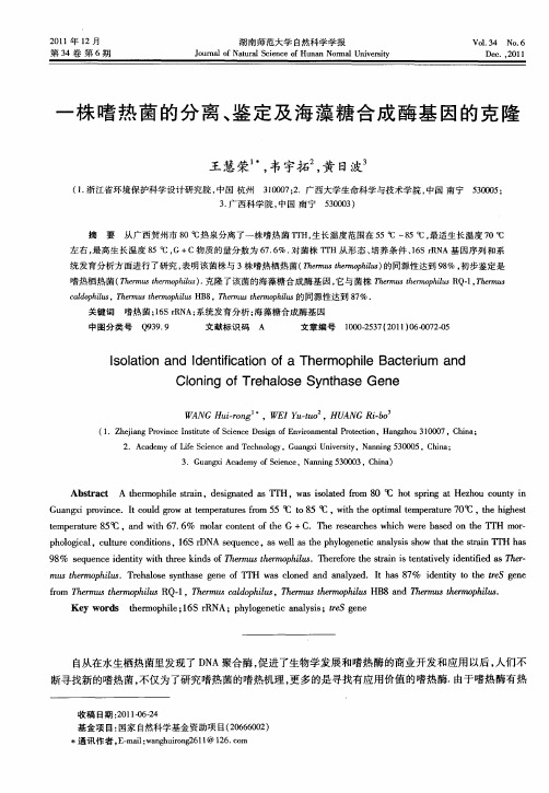 一株嗜热菌的分离、鉴定及海藻糖合成酶基因的克隆