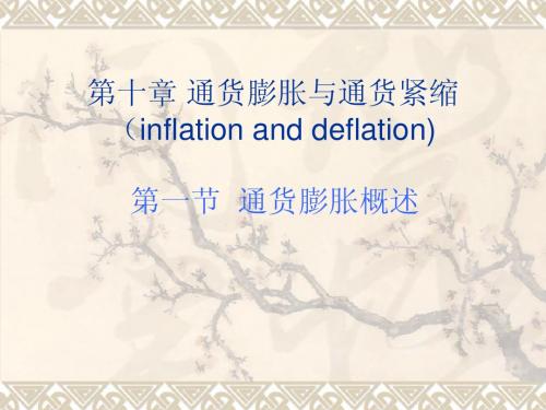 第十二章 通货膨胀与通货紧缩
