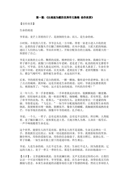 青春的痕迹800字作文