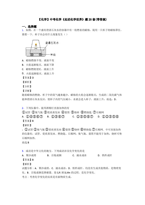 【化学】中考化学《走进化学世界》题20套(带答案)