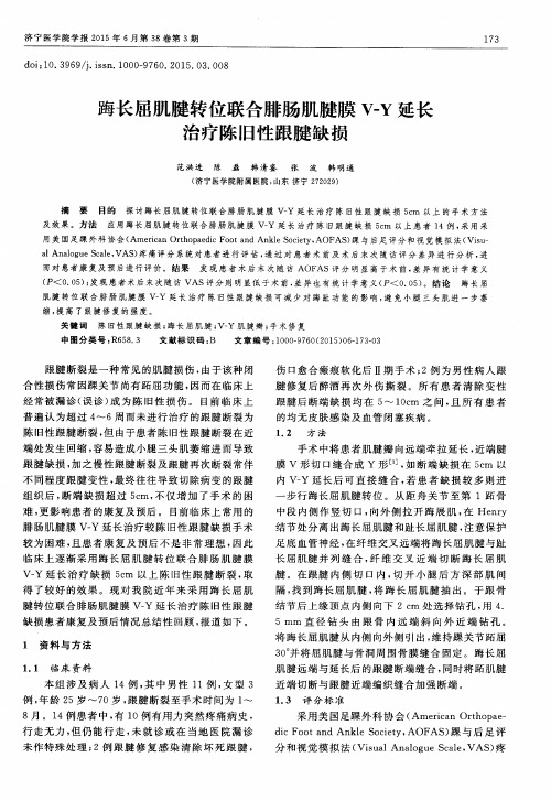 踇长屈肌腱转位联合腓肠肌腱膜 V-Y延长治疗陈旧性跟腱缺损