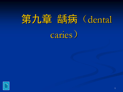 口腔组织胚胎学：第九章 龋病(dental caries)