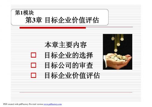高级财务管理PPT第3章