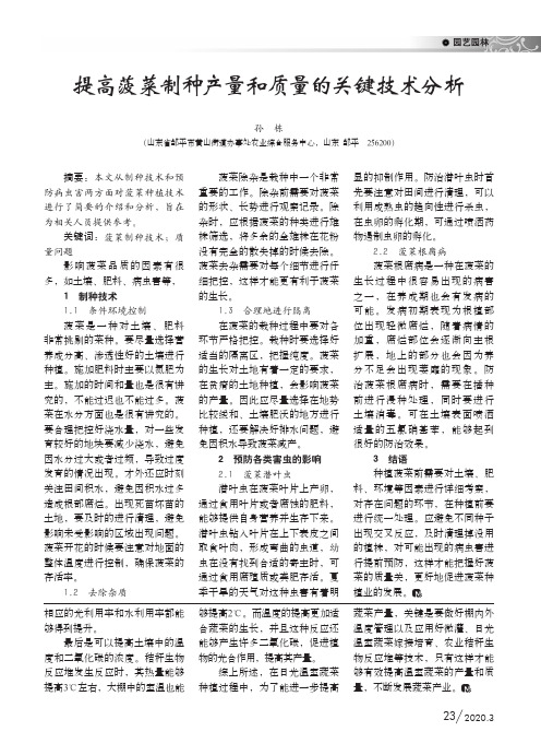 提高菠菜制种产量和质量的关键技术分析