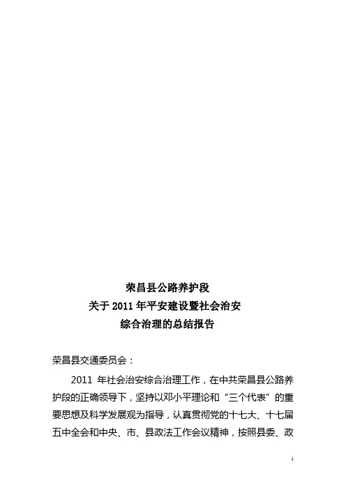 (2010-111)关于2010年平安建设暨社会治安综合治理的总结报告