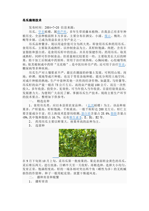 吊瓜栽培技术