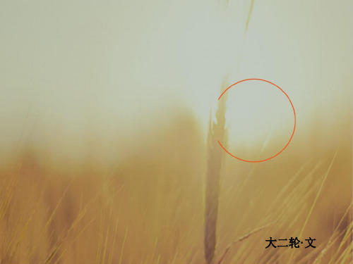 2018高考数学文二轮复习课件：第二编 专题整合突破 专题八 系列4选讲 第一讲选修4-4坐标系与参