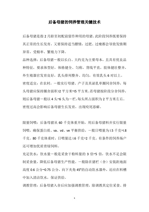 后备母猪的饲养管理关键技术