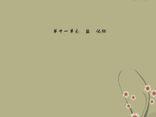 九年级化学下册 第十一单元 盐 化肥(基础整合+考点聚焦)同步课件 新人教版