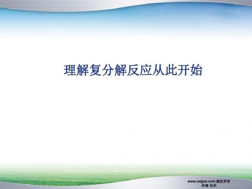 人教版复分解反应全面深入理解课件