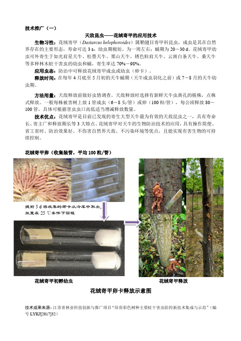 天敌昆虫——花绒寄甲的应用技术