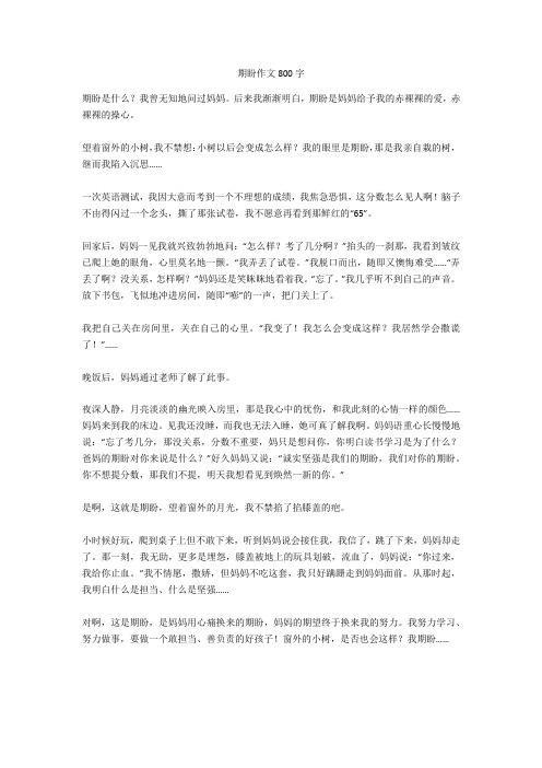 期盼作文800字优秀版