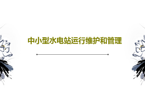 中小型水电站运行维护和管理共24页PPT