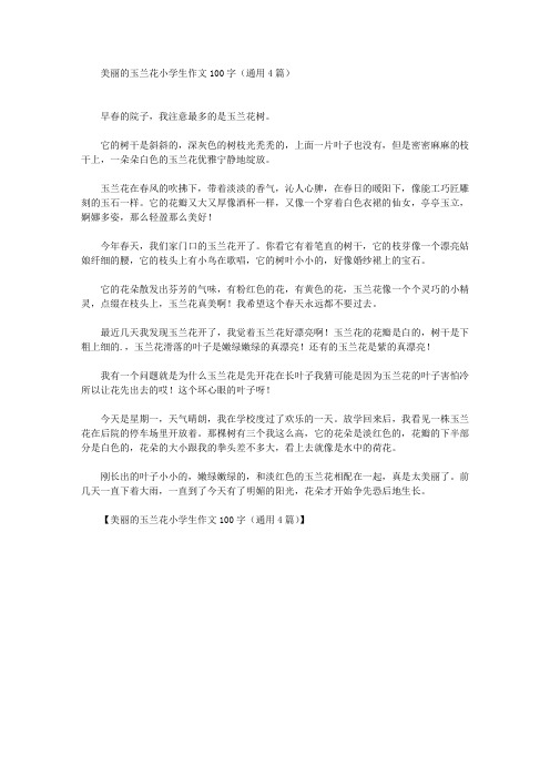 美丽的玉兰花小学生作文100字(通用4篇)(最新)