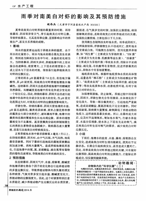 雨季对南美白对虾的影响及其预防措施