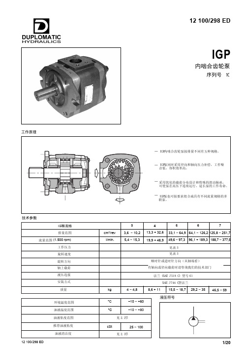 迪普马 内啮合齿轮泵 (IGP)