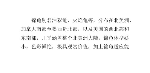 锦龟的特征和亚种分类
