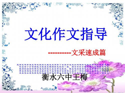 文化初中作文指导：——文采速成篇PPT实用课件