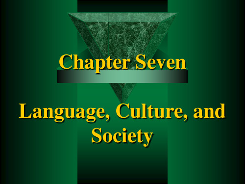 Chapter 7  语言学-Language,culture,society