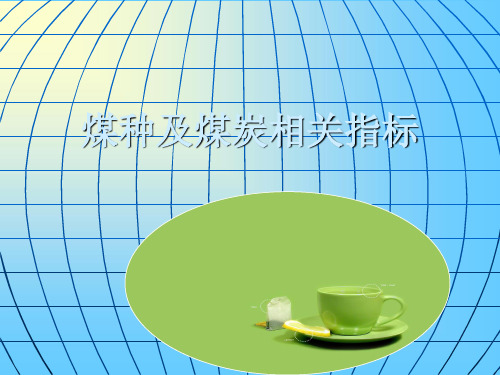 煤种及煤炭相关指标.ppt