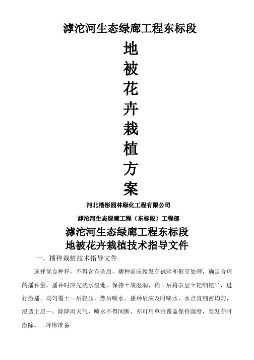 地被花卉栽植方案(活动za)