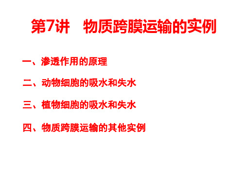 高三一轮复习物质跨膜运输的实例精品PPT课件