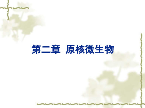 (食品微生物)第2章 原核微生物