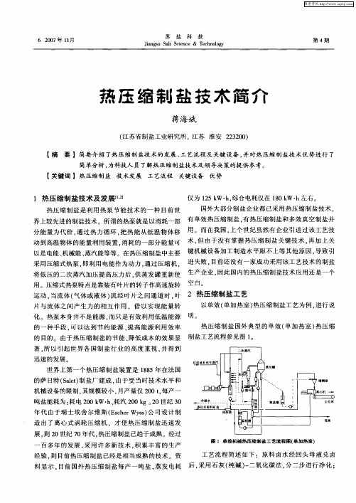 热压缩制盐技术简介