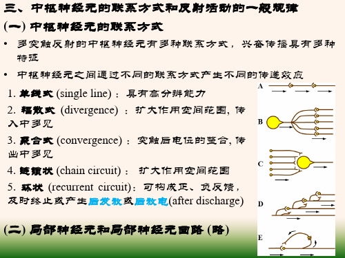 生理学课件之神经-class2