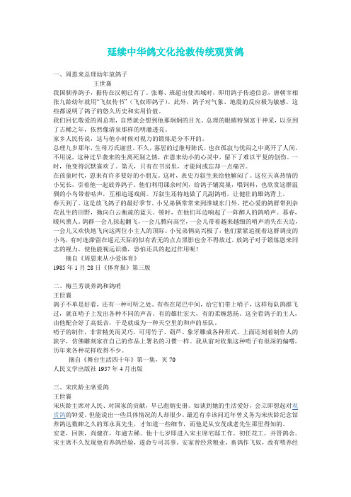 传统观赏鸽爱好者