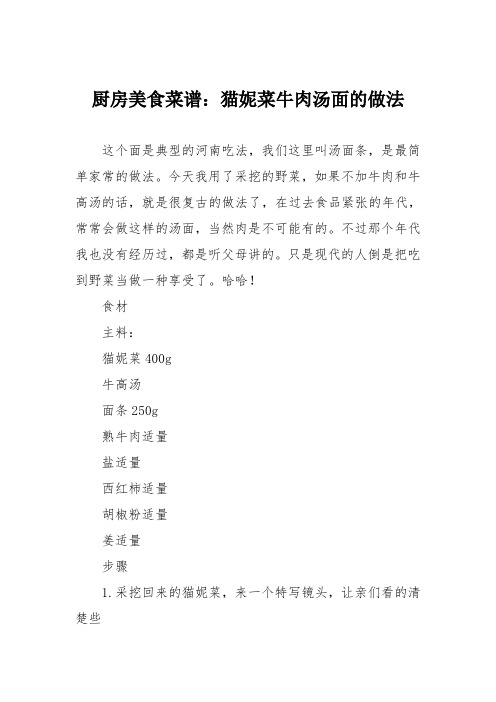 厨房美食菜谱：猫妮菜牛肉汤面的做法