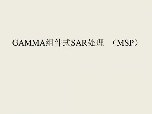 GAMMA软件MSP操作