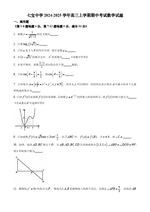 上海市七宝中学2024-2025学年高三上学期期中考试数学试题(含答案)