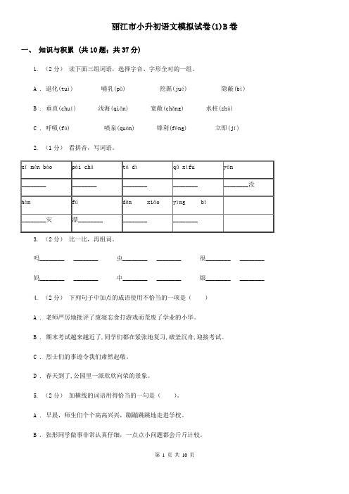丽江市小升初语文模拟试卷(1)B卷