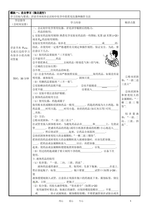广东省河源市中英文实验学校九年级化学《13走进化学实验室》讲学稿
