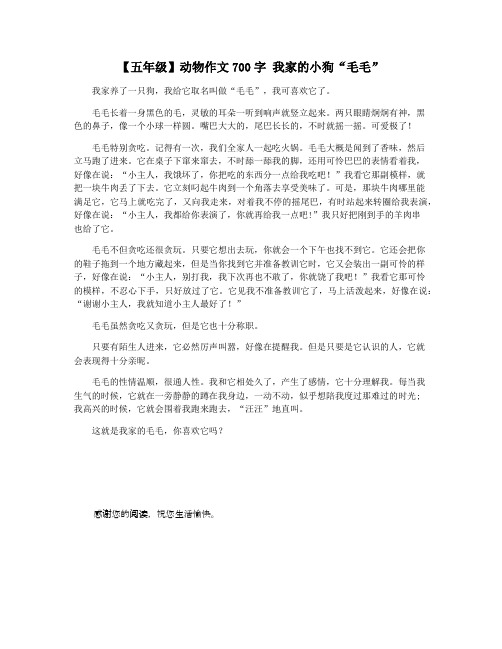 【五年级】动物作文700字 我家的小狗“毛毛”