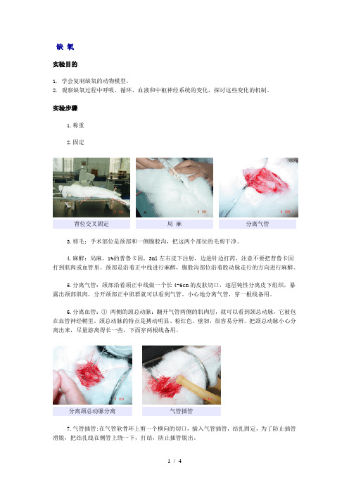 病生实验缺氧