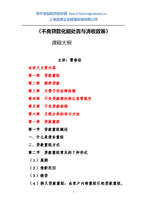 不良贷款清收政策大纲
