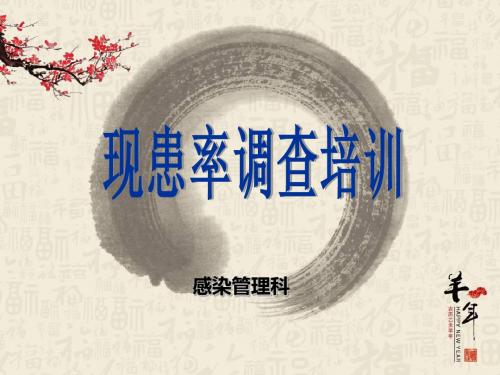现患率调查培训PPT课件