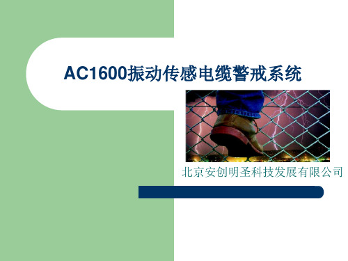 AC1600振动传感电缆警戒系统