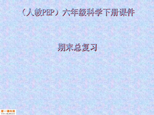 英语六年级下册语法课件