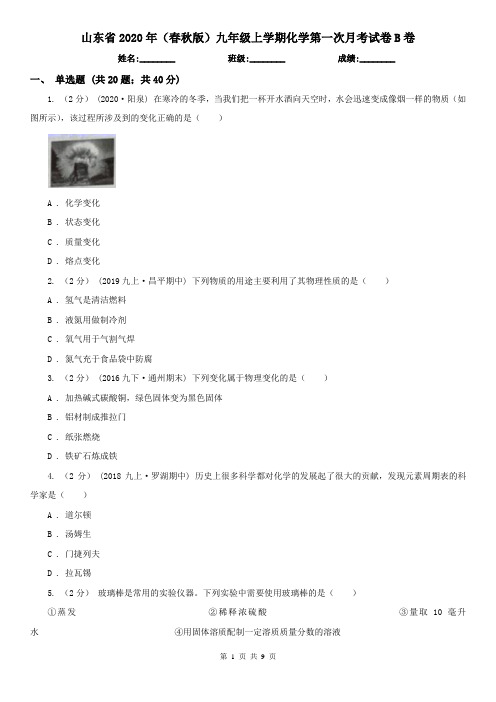 山东省2020年(春秋版)九年级上学期化学第一次月考试卷B卷