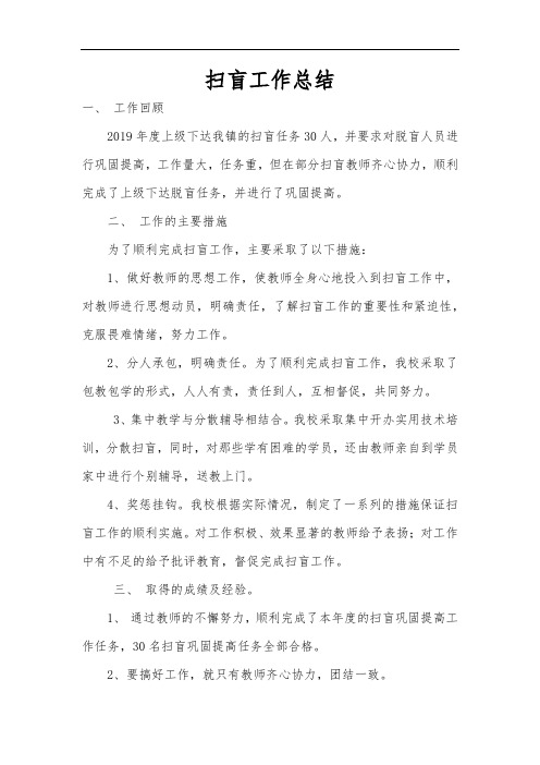 脱盲再教育工作总结