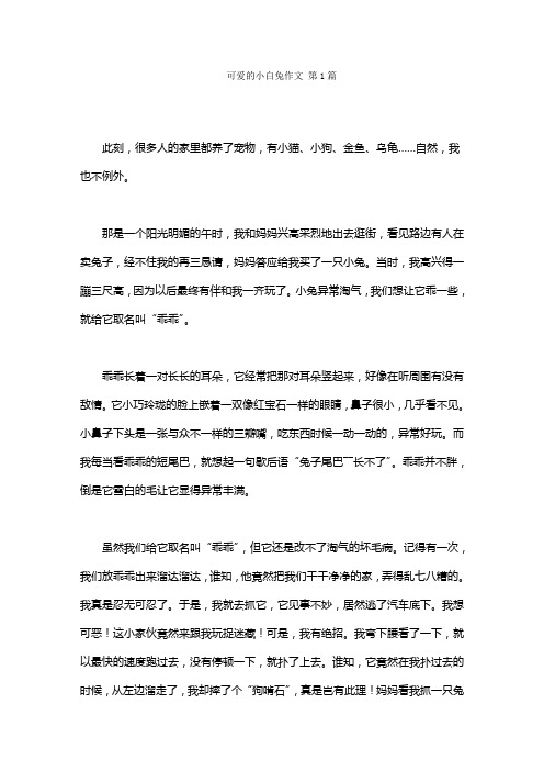 可爱的小白兔作文(20篇)