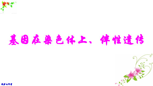 人教版高中生物必修2第2章第2、3节《基因在染色体上、伴性遗传》优质课件PPT