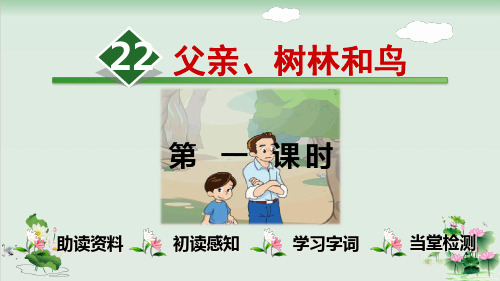(部编版)小学语文三级上册《父亲、树林和鸟》PPT优秀课件