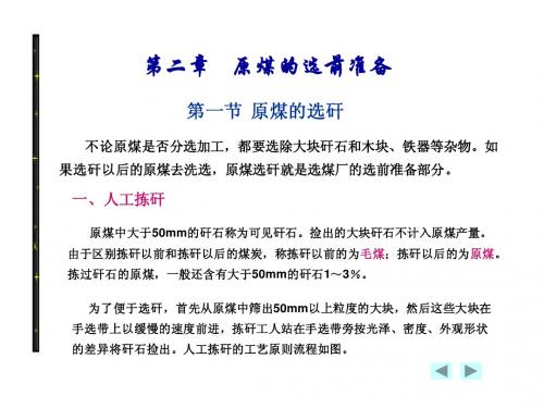 选煤概论第二章