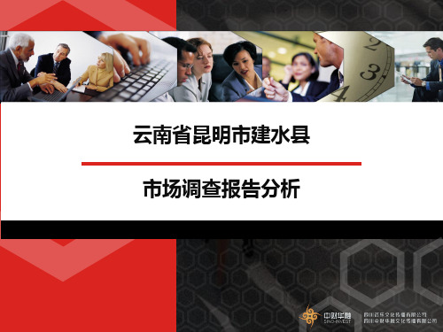 云南建水市调报告