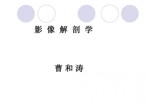 X线总论