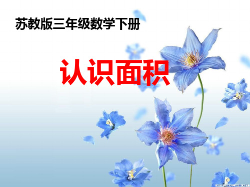 苏教版数学三下《认识面积》ppt课件